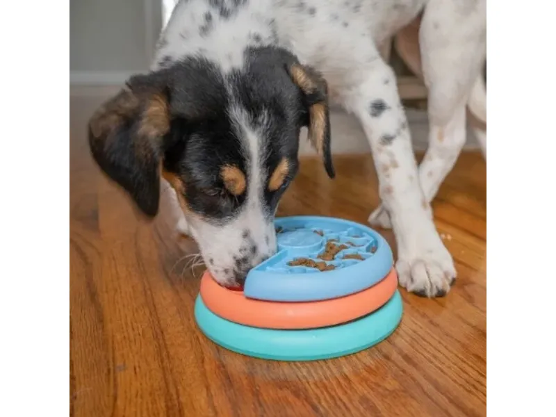 Nina Ottosson Lickin' Layers puppy food puzzle aktivointilelu